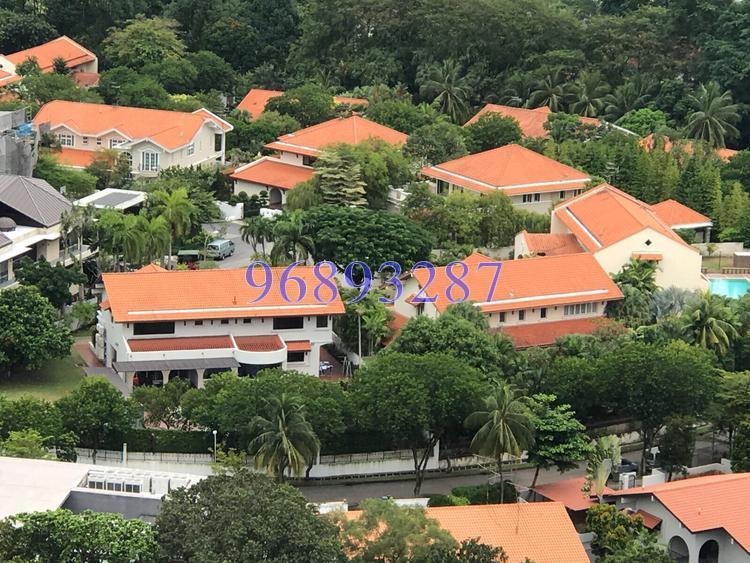 The Panorama (D20), Condominium #155135412
